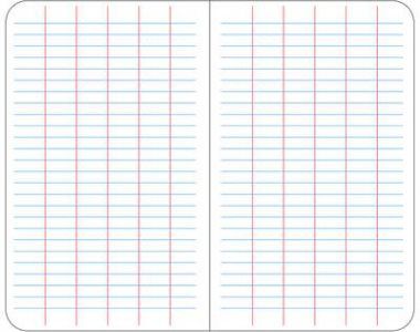 Loose-Leaf Field Or Level Book Sheets